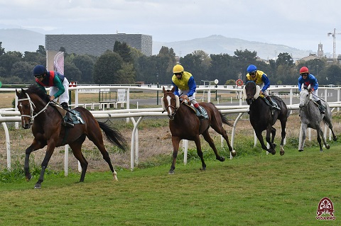 I Favoriti di galoppo al Visarno, giovedì 26 Ottobre 2023,h 14,20.