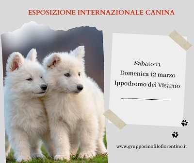 All'ippodromo Visarno da sabato  i cani piu' belli d'Italia.