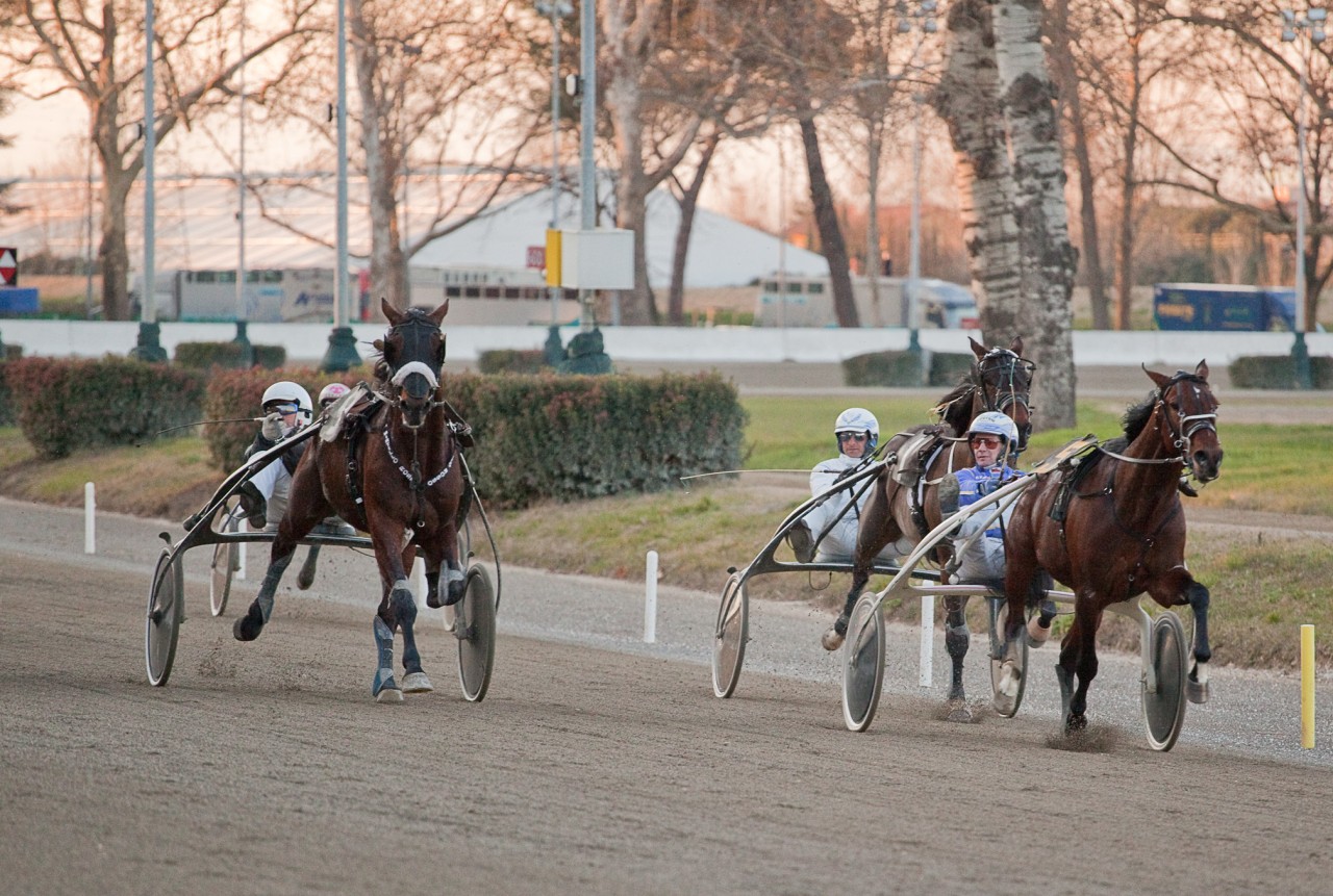 Arrivo Gp Firenze 2010 Mack Grace Sm In 1144 Prevale Su Mirtillo Rosso E Moses Rob (2)