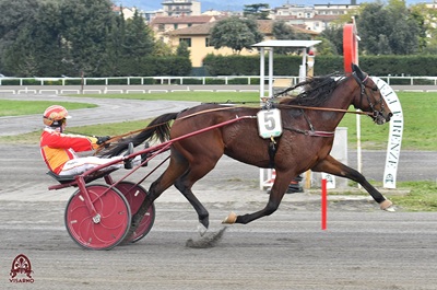 Nel Turno Gas Catman di Celle coglie il poker in 1.11.8 al Cesare Meli