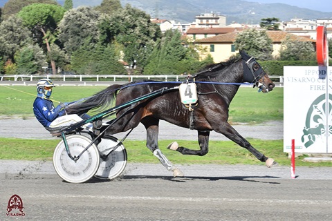 Il 2 anni Far West Bi con Gambino sigla il record della pista in 1.15.5 sui 2020 metri