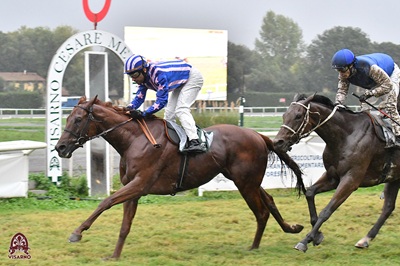 Con Arras il 3 anni Wunderbarr domina fra gli anziani della Corsa del Chianti dal 1828.