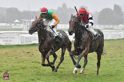 Nel Criterium dell'Anglo.Arabo Brividi con Mario Sanna stampa Ganimede a Firenze.
