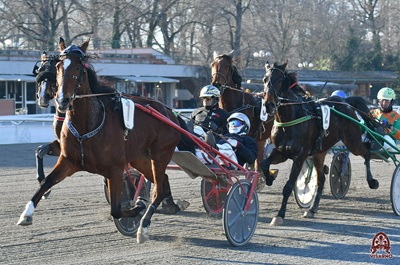 In 1.13.6 Enjoy Lavec si rende intangibile nel Leopold Verroken di Firenze
