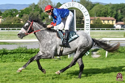 Favoriti al Galoppo di Trotto and Turf al Visarno di giovedì 19 Settembre 2024, h 16.