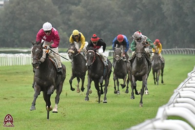 Sabato 12 al Visarno spiccano i tradizionali Handicap Firenze e Cascine