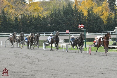 Nella CD del Visarno Catman di Celle con Luongo in 1.11.9 firma la sesta a seguire a Firenze