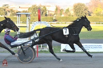 Nella 2^ batteria del Trofeo Meyer Dynamite Kandi con Orsini concede il bis al Visarno