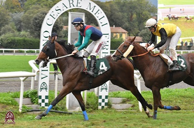 A Firenze fra gli Anglo.Arabi Dokovic con Satta torna al successo sui 1800 metri.