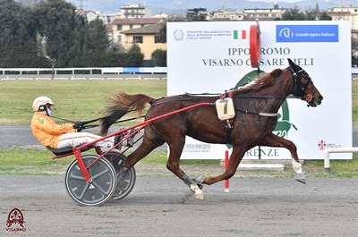 Con Gocciadoro Ginger Wise AS domina in 1.15.9 il I° Memorial Giancarlo Baldi al Visarno