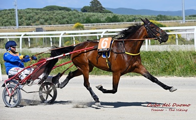 I Favoriti di trotto al Visarno di domenica 2 5 Gennaio 2026