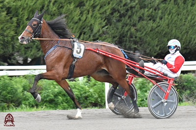 I Favoriti di trotto al Visarno di martedì 30 Dicembre 2025