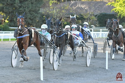 Con il Memorial Lombardini ritorna il Trotto al Visarno