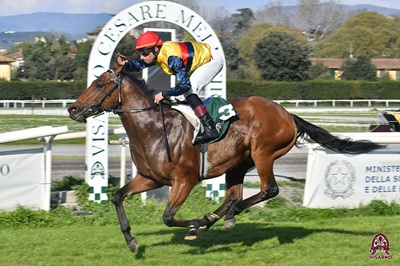 Oggi dalle 15,30 lo spettacolo del Galoppo al Visarno.