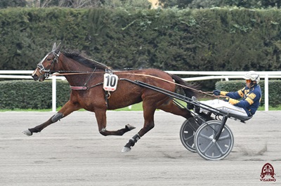 Firenze Trotto rende onore a Mario Manfredi ed ai suoi campioni.