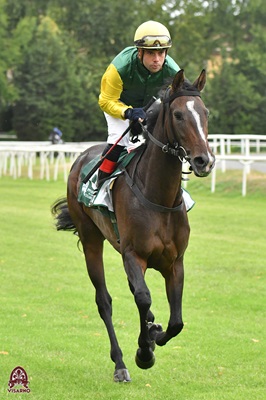 Flavia, nemica giurata della Derbywinner Italiana Fauda