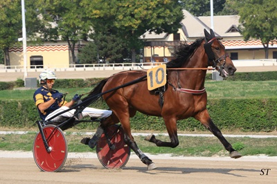 Supermario Alderici commenta i numeri del GP Firenze di sabato 15 Febbraio 2025