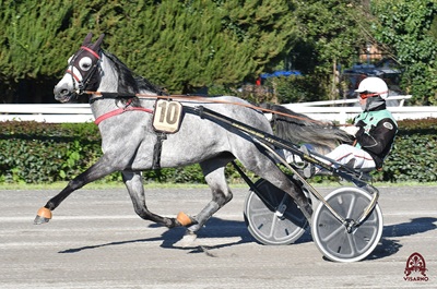 Favoriti di Trotto di sabato 10 maggio 2025 al Visarno.