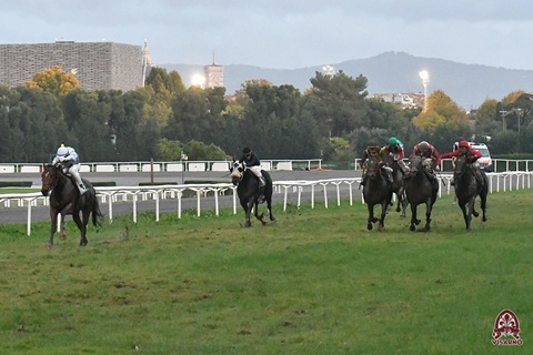 Da leader Dullingham con Sulas s'impone sui 1500 della Tris TQQ, Premio Paolo Demidoff