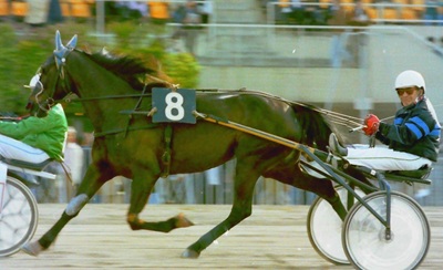 Lunedì 10 Novembre 2025 Firenze ricorda Luciano Bechicchi