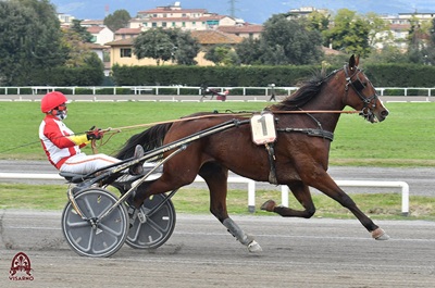 I Favoriti di trotto di venerdì 14 novembre 2025