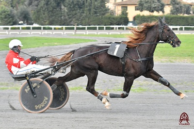 Con Bellei Banderas Bi si riscalda in 1.56.5 nel test del Visarno