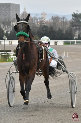 I Favoriti di Trotto al Visarno, giovedì 1 Maggio 2025 h 15.08